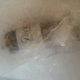 Image for article titled What Happens If You Take Frozen Liquids Through Airport Security